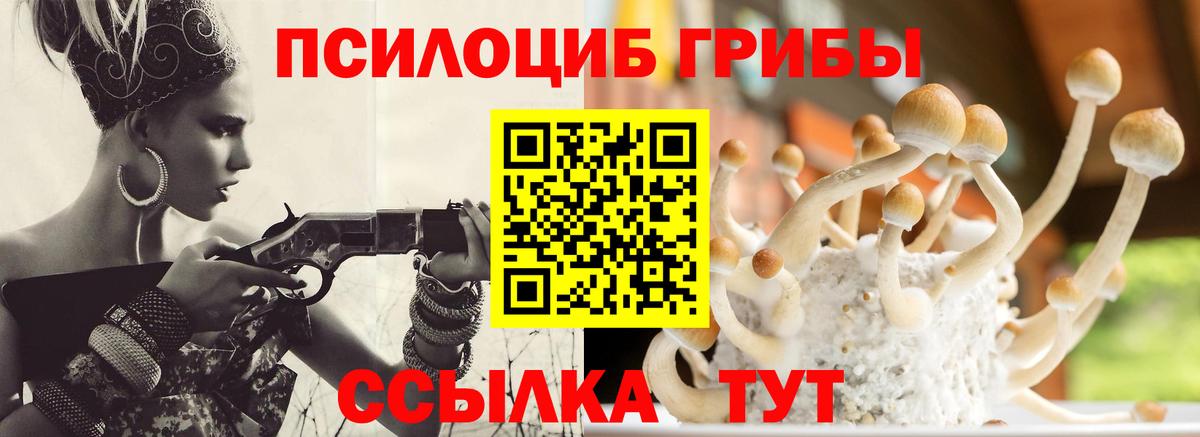 Галлюциногенные грибы MAGIC MUSHROOMS  Псилоцибиновые грибы ЛСД  Вход с VPN  Юрга 