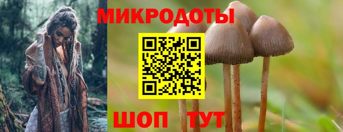 Галлюциногенные грибы мицелий Юрга