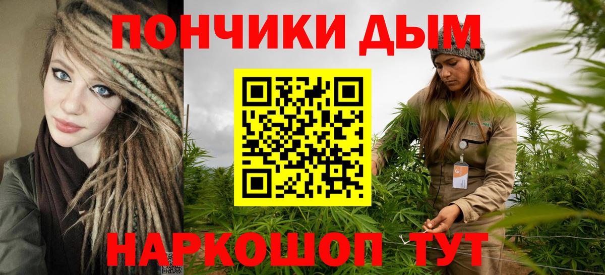 Бошки марихуана сатива  Шишки марихуана AK-47  Юрга  Каннабис конопля  Вход с VPN 